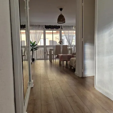 Apartment Centro De